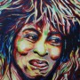 Tina Turner Portrait Acryl